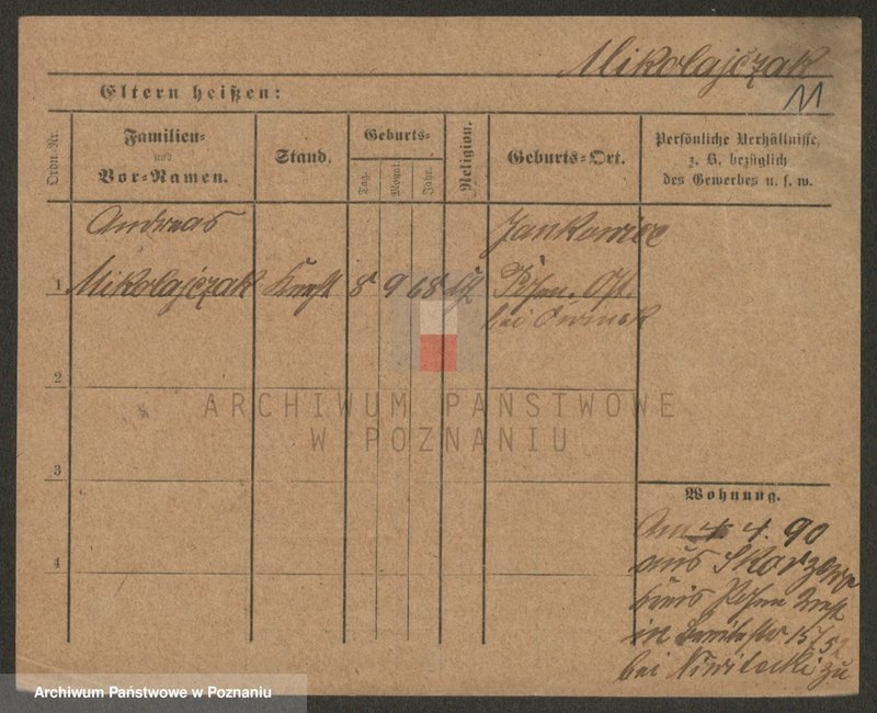 Obraz 13 z jednostki "Mikołajczak (żonaci i wdowy)"