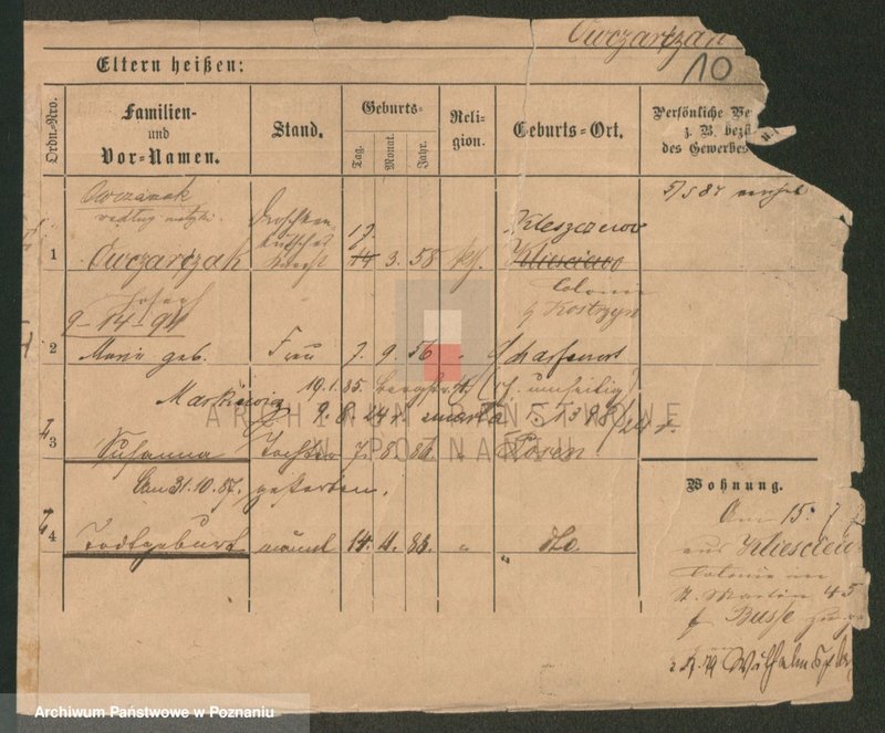 Obraz 10 z jednostki "Owczarzak - Ożyński"