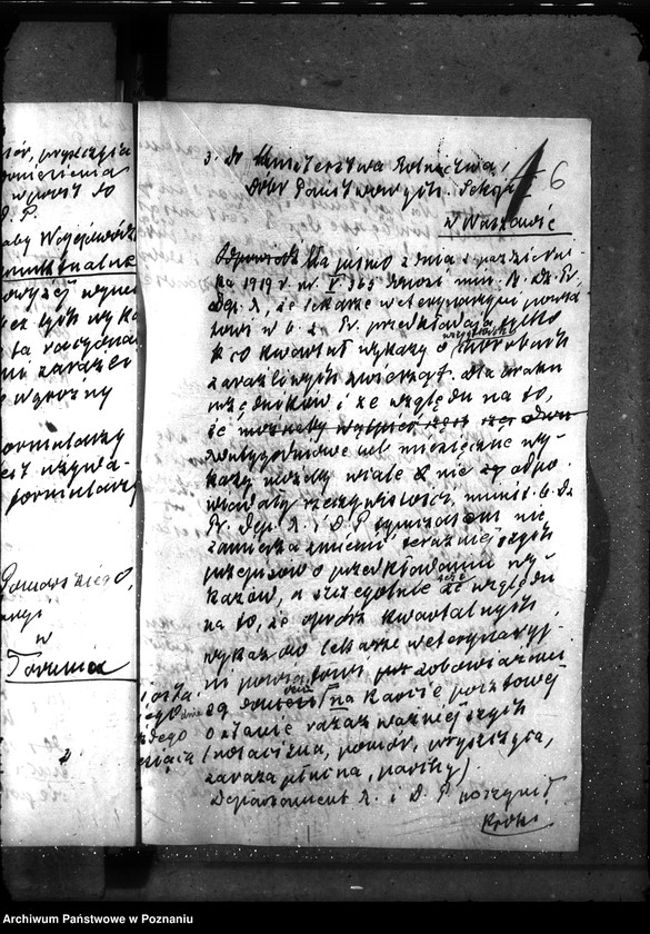 Obraz 10 z jednostki "Sprawy ogólne Wykazy chorób zaraźliwych; [księgosusz, zaraza płucna]"