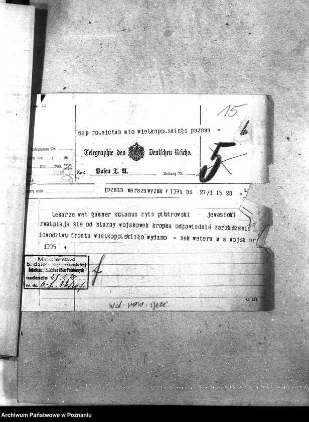 Obraz 19 z jednostki "Weterynarze Powiatowi [specjalne]"