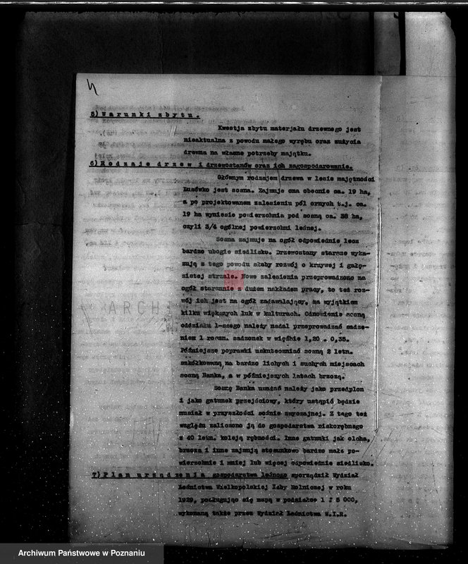 Obraz 8 z jednostki "Plan urządzenia gospodarstwa leśnego dla lasu majętności Lusówko powiat poznański 1930-1940"