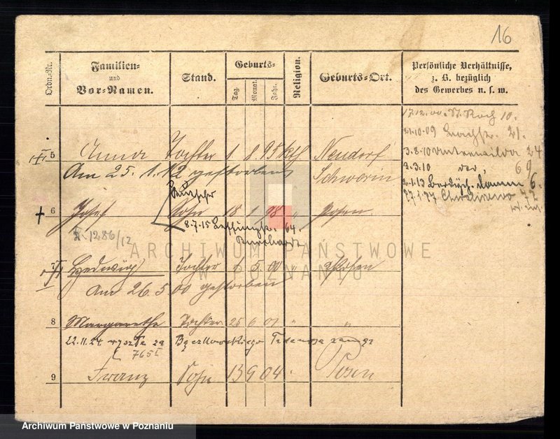 Obraz 18 z jednostki "Dalkowski - Danielewicz"