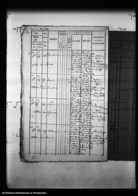 Obraz 17 z jednostki "[Kopie ksiąg metrykalnych parafii Wierzbiany (dekanat Niemirów)]"