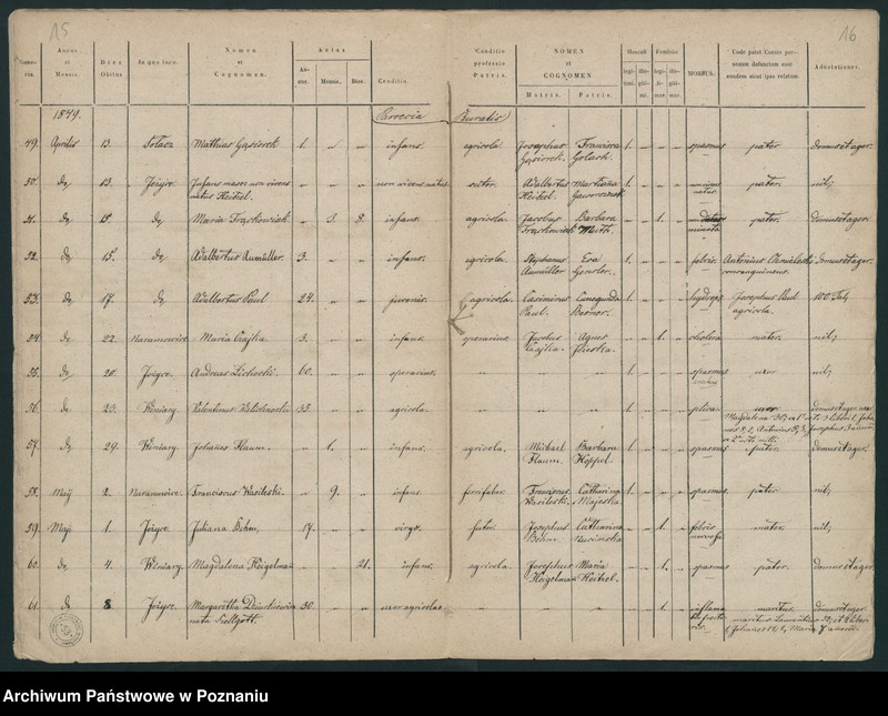 Obraz 10 z jednostki "Księga zgonów"