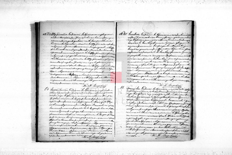 Obraz 19 z jednostki "Duplikat Aktov Uroždennych, Umeršîch i Brakosočetovšichsja iz Krasnopolskago Prichoda za 1876 god."