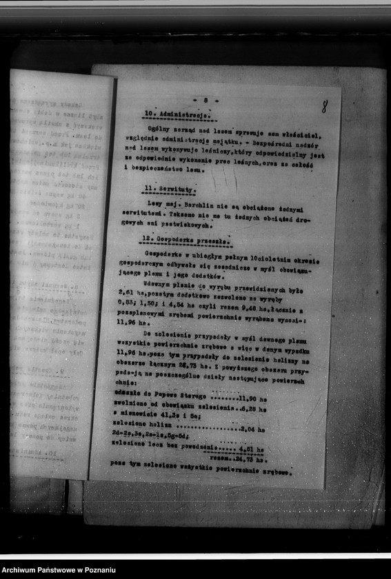 Obraz 12 z jednostki "Program urządzania gospodarstwa leśnego majętności Brachlin -powiat kościański"