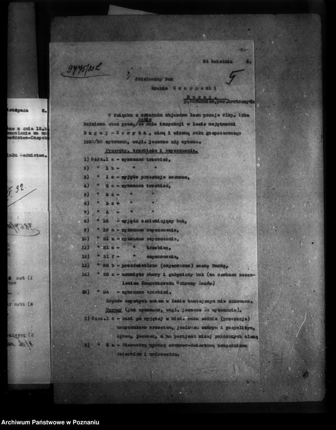 Obraz 9 z jednostki "/Majętność leśna Bugaj / powiat krotoszyński"