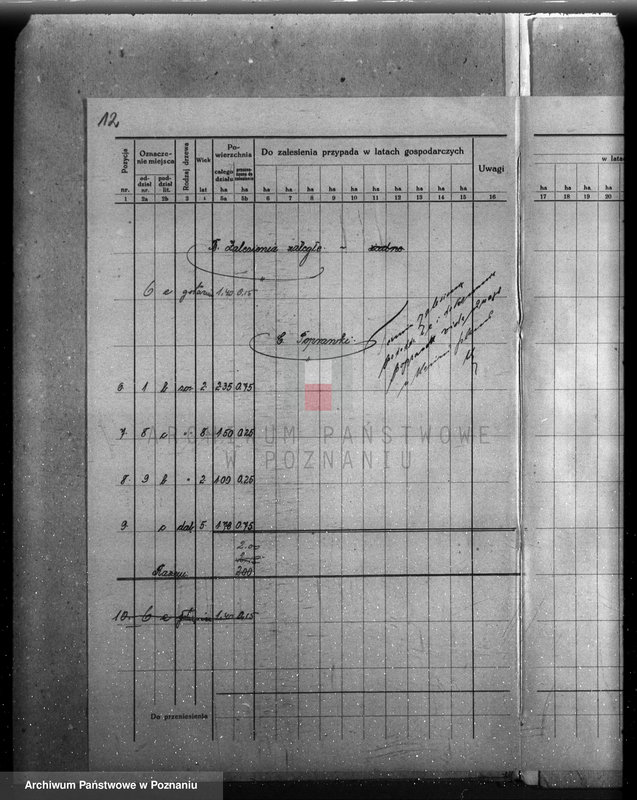 Obraz 16 z jednostki "Plan urządzenia gospodarstwa leśnego dla lasu majętności Grąblewo w powiecie nowotomyskim"