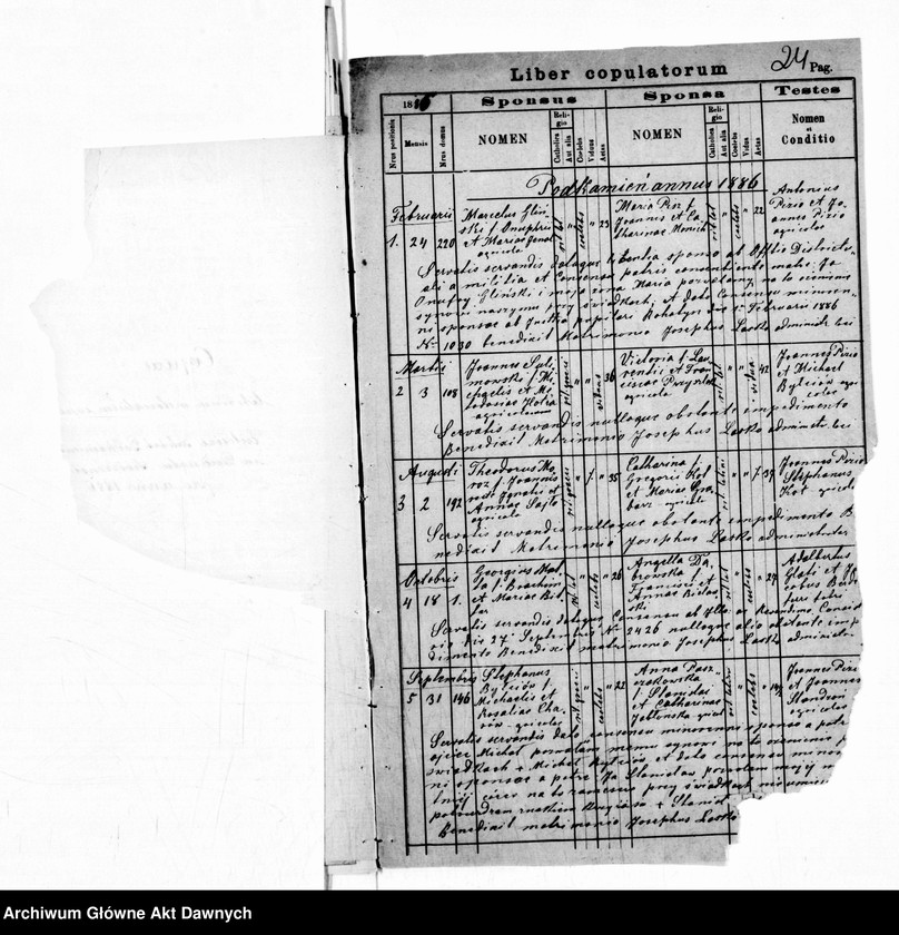 image.from.unit.number "Parafia: Podkamień Rohatyński. Dekanat: Świrz. Kopie z ksiąg metrykalnych ur., śl., zg. 1874 i śl. 1886 dla miasta Podkamień i wsi: Dehowa, Duliby*, Fraga*, Dziczki, Jahłusz, Knihynicze, Kniesioło*, Psary, Rusiatycze, Strzeliska Stare*, Wyspa*, Zagórze, Lubsza, Podbórze*, Leszczyn*, Lubsza*."