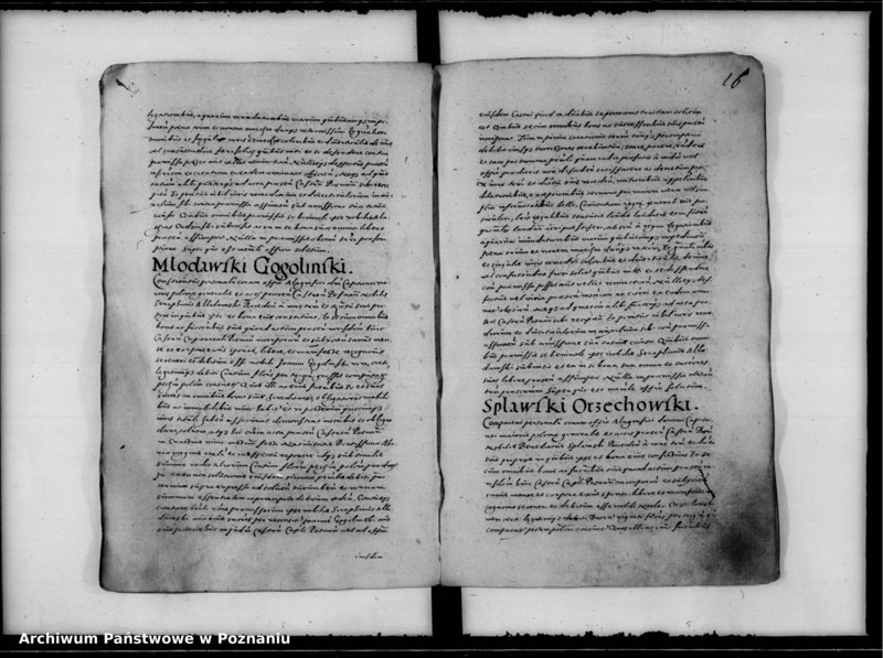 Obraz 20 z jednostki "Inscriptiones, relationes [inducta]"