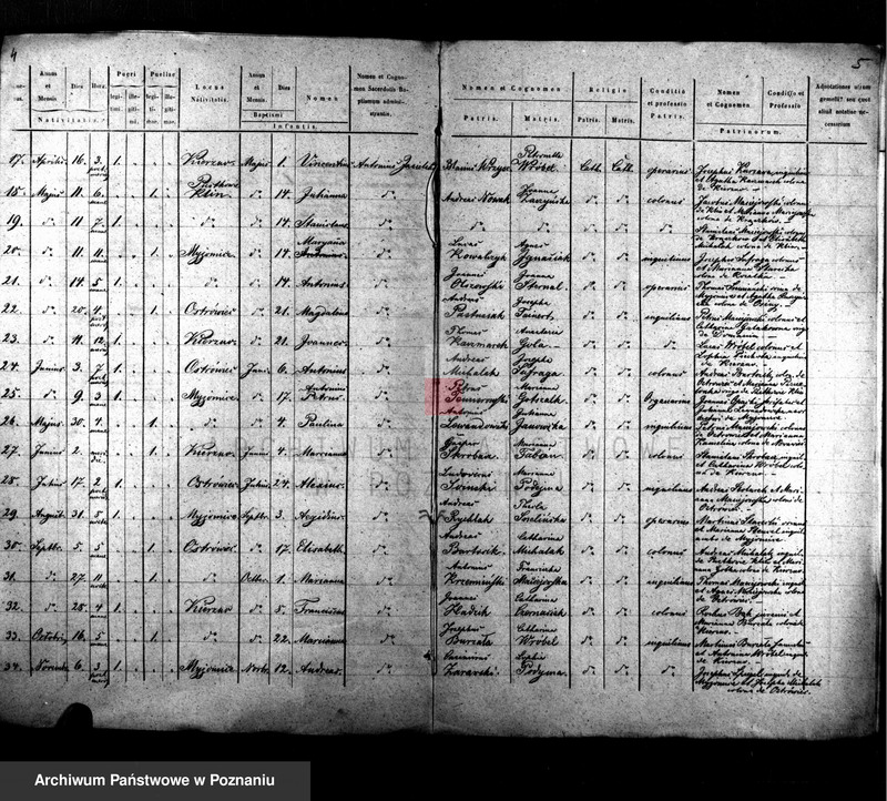 Obraz 4 z jednostki "Duplikat baptisatorum, copulatorum, mortuorum"