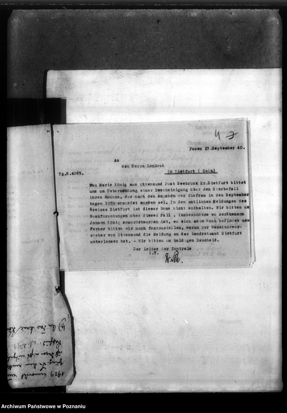 Obraz 8 z jednostki "Johann König ans Ottensund, Kreis Dietfurt (Żnin)"