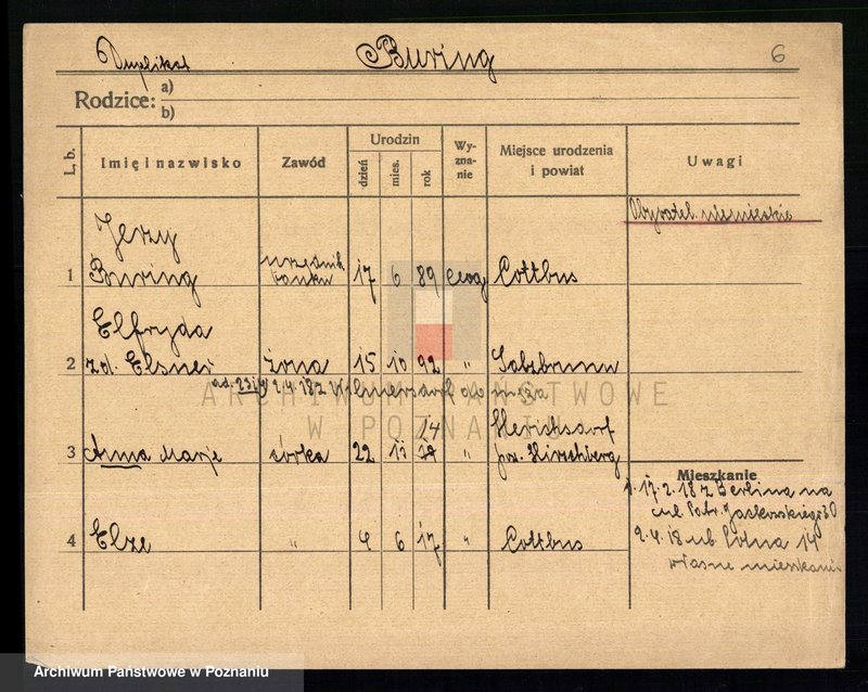 Obraz 8 z jednostki "Buriański - Busse"