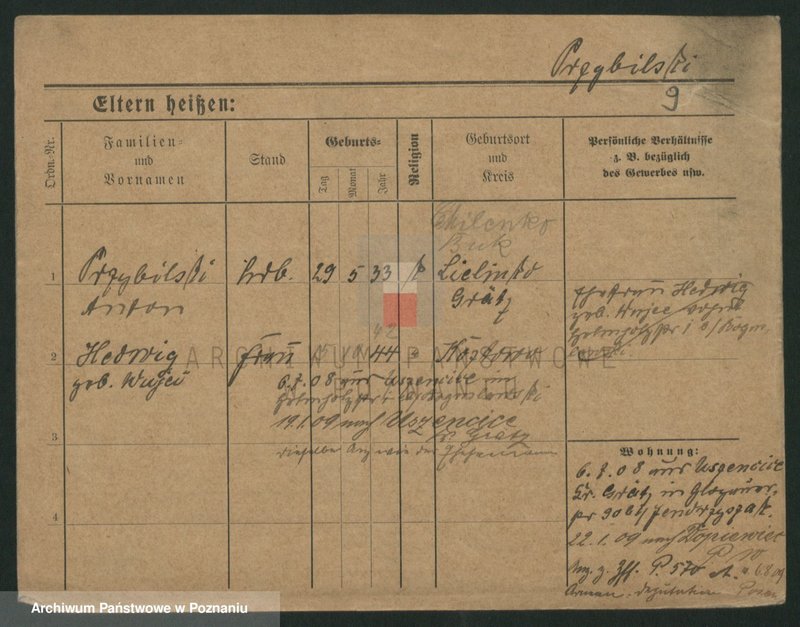 Obraz 11 z jednostki "Przybylski (żonaci - samotni mężczyźni do Gustaw)"