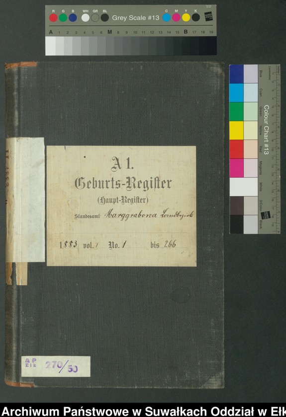 image.from.unit.number "A1.Geburts-Register [Haupt-Register] Standesamt Marggrabowa Landbezirk vol. I No.1 bis 266"