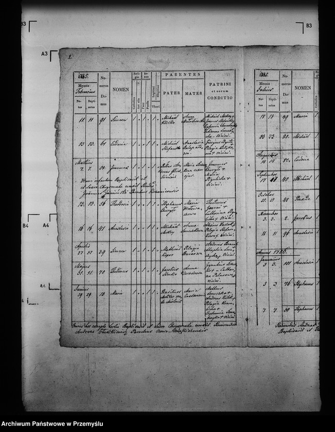 image.from.unit.number "[Kopie ksiąg metrykalnych parafii Miękisz Nowy z filiami Miękisz Stary i Tuchla (dekanat Jarosław)]"