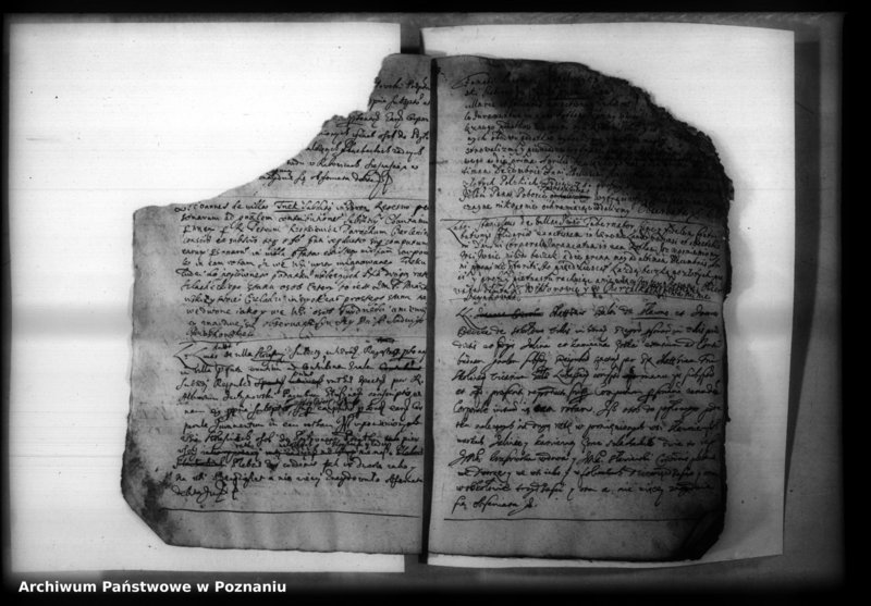 Obraz 19 z jednostki "Iuramenta [protocollon]"