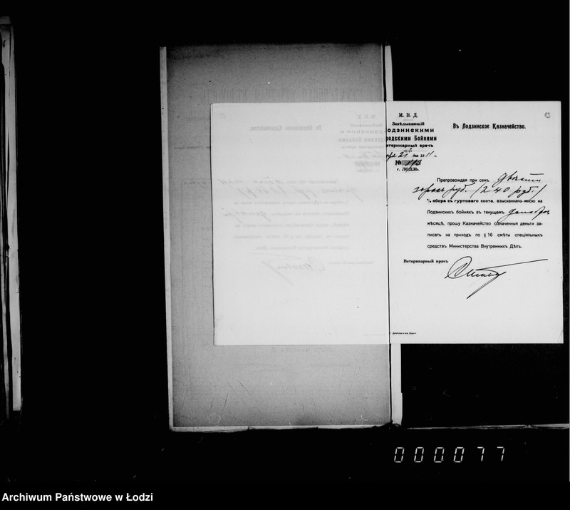 Obraz 16 z jednostki "Po % sboru za 1911 g."