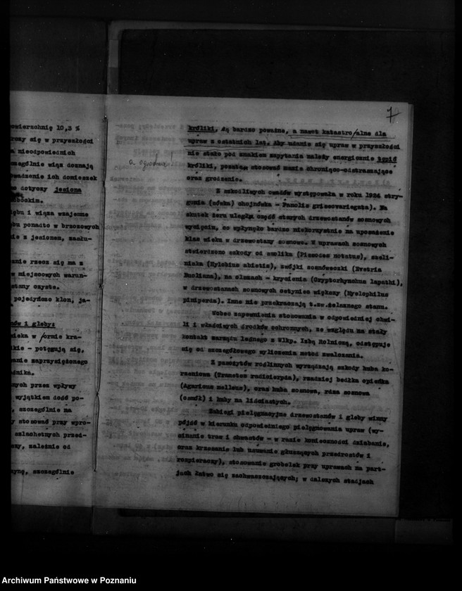 Obraz 11 z jednostki "Plan urządzenia gospodarstwa leśnego dla lasu majętności Sobota powiat poznański 1936-1946"