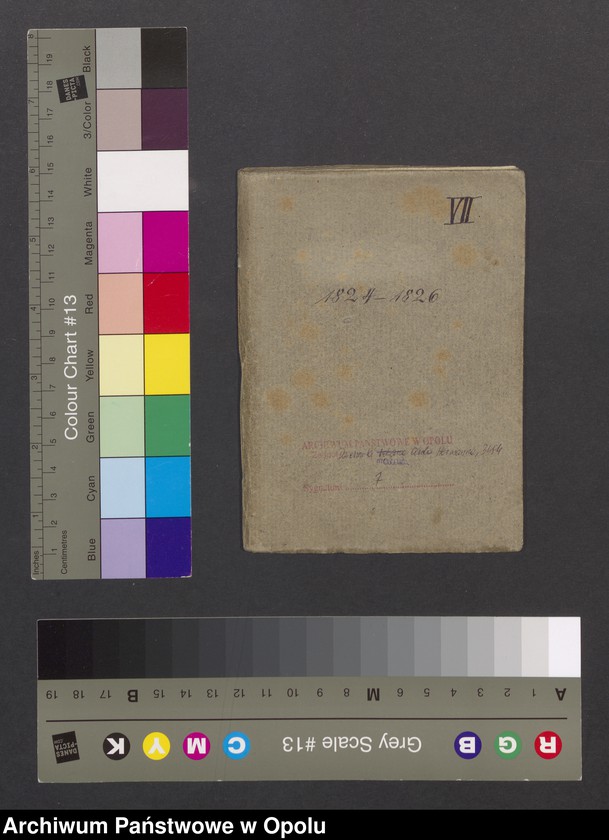 Obraz 2 z jednostki "[Dziennik z podróży] 1824-1826"