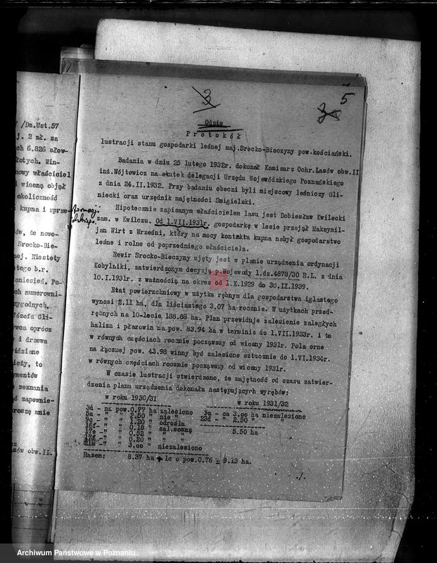 Obraz 9 z jednostki "Las majętności Bieczyny powiat kościański"