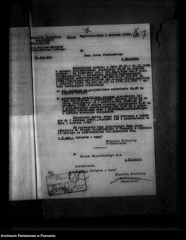image.from.unit.number "Las majętności leśna Grylewo powiat wągrowiecki"