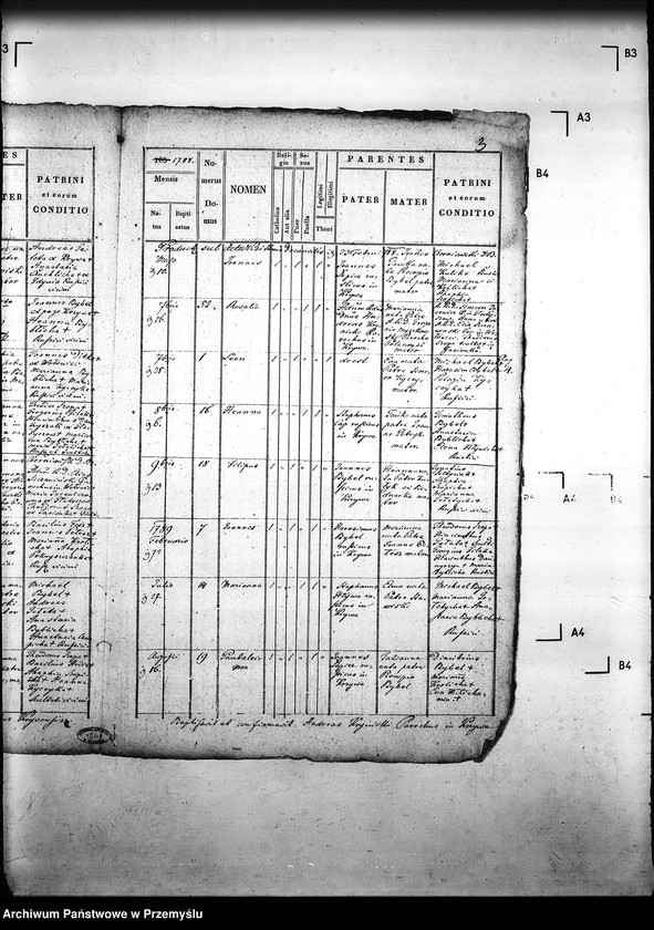 Obraz 7 z jednostki "[Kopie ksiąg metrykalnych parafii Krzywa z filią Banica (dekanat Gorlice)]"