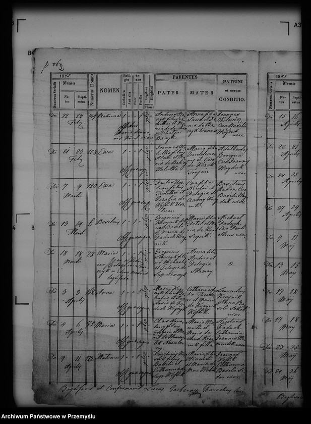 Obraz 6 z jednostki "[Kopie ksiąg metrykalnych parafii Piątkowa Ruska (dekanat Bircza)]"