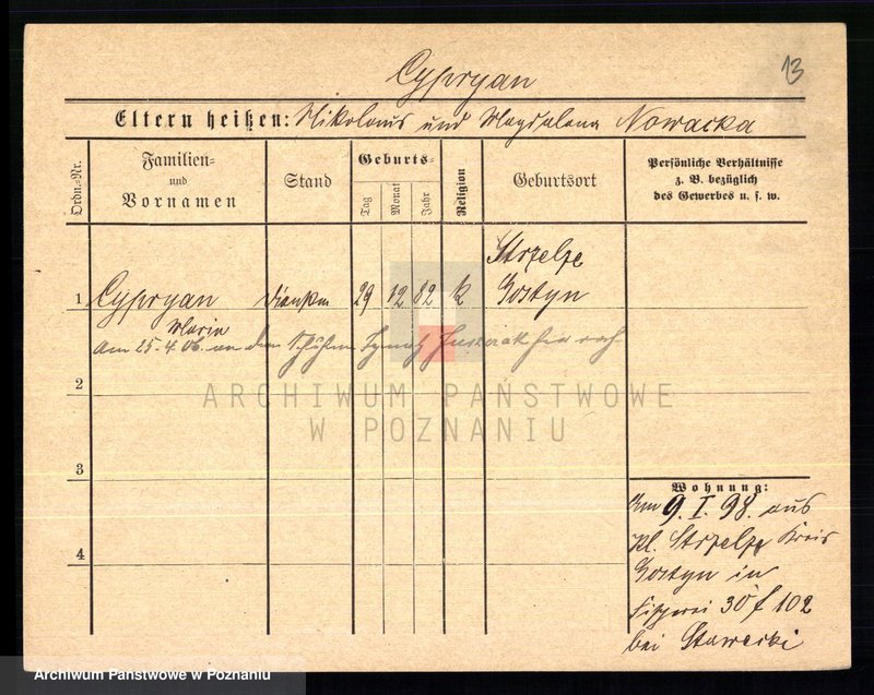 Obraz 15 z jednostki "Cypraniak - Czajka (żony i wdowy)"