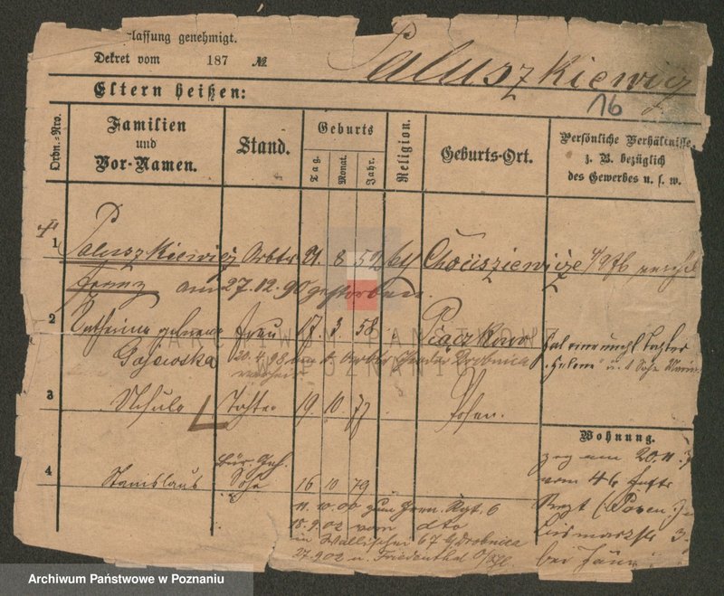 Obraz 16 z jednostki "Paluszkiewicz Pankow"