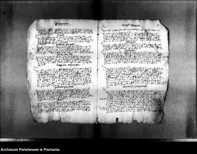 Obraz 13 z jednostki "Resignationes ,inscriptiones, relationes, decreta [protocollon]"