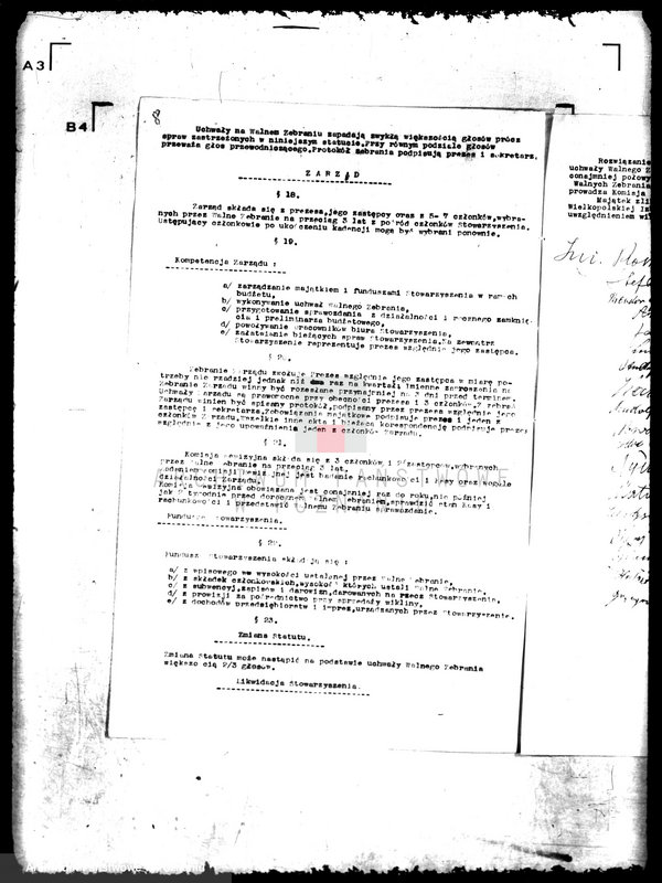 Obraz 12 z jednostki "/Stowarzyszenie Plantatorów Wikliny Wiklina Koszykarska/"