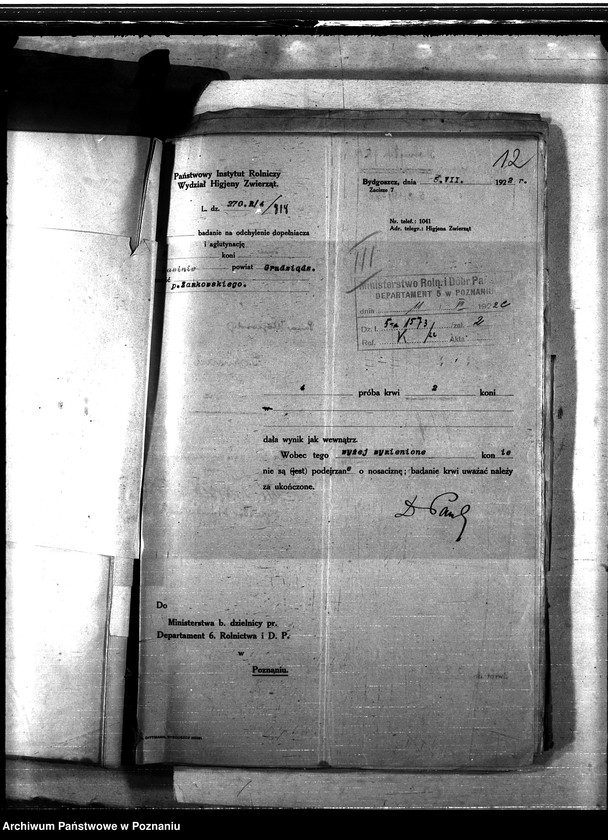 Obraz 16 z jednostki "Nosacizna - Grudziądz"