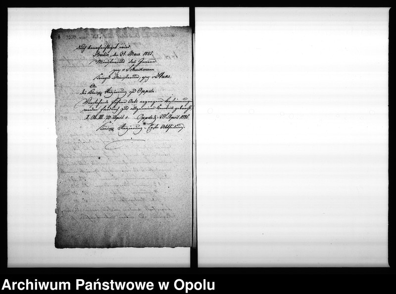 Obraz 10 z jednostki "Acta Generalia vom Vorspann-Wesen Vol. I de anno 1810"