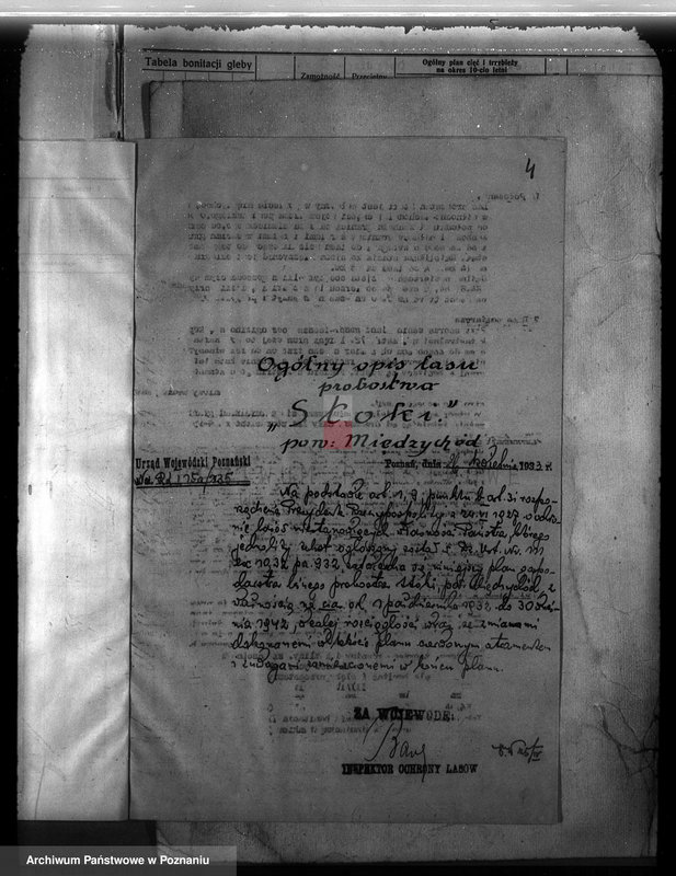 Obraz 8 z jednostki "Probostwo Stoki" powiat międzychodzki plan urządzenia gospodarstwa leśnego"