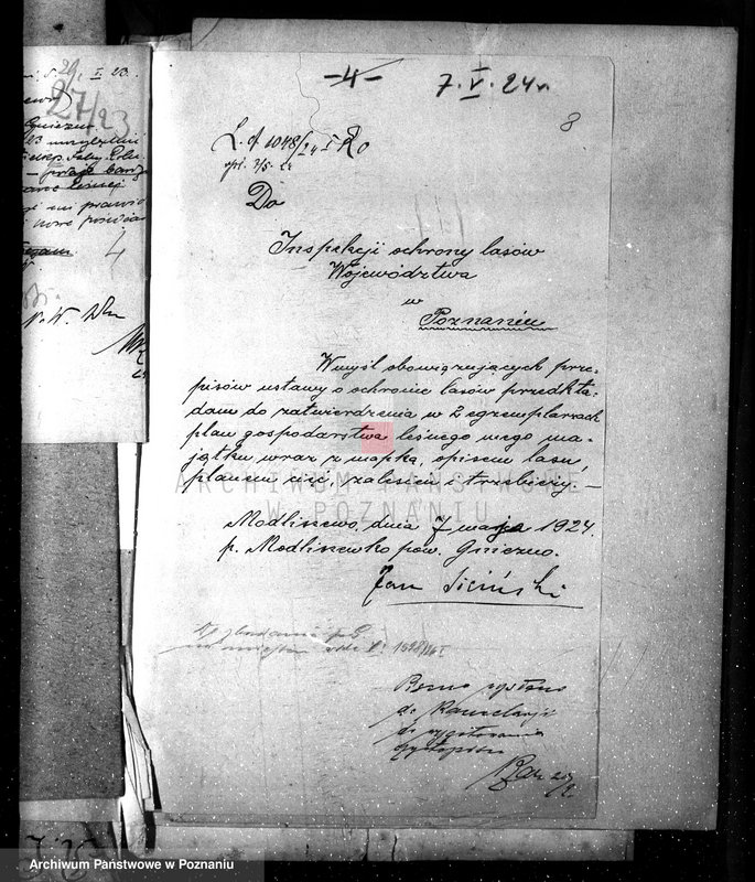 Obraz 11 z jednostki "Nadzór nad gospodarką w lasach majętności Modliszewo powiecie gnieźnieńskim"