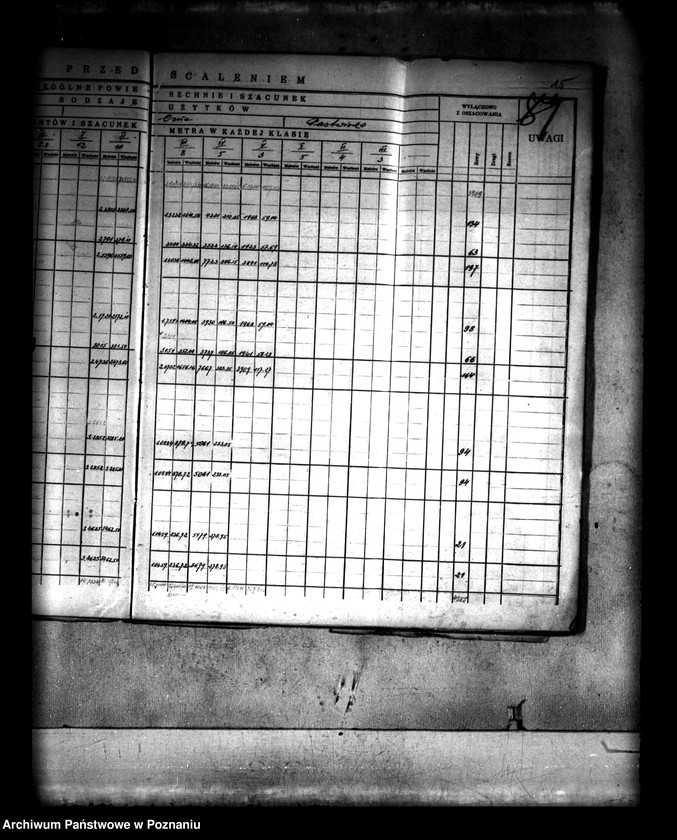 Obraz 18 z jednostki "Szczegółowy rejestr pomiarowo-szacunkowy wsi Spławie powiatu konińskiego przed scaleniem"