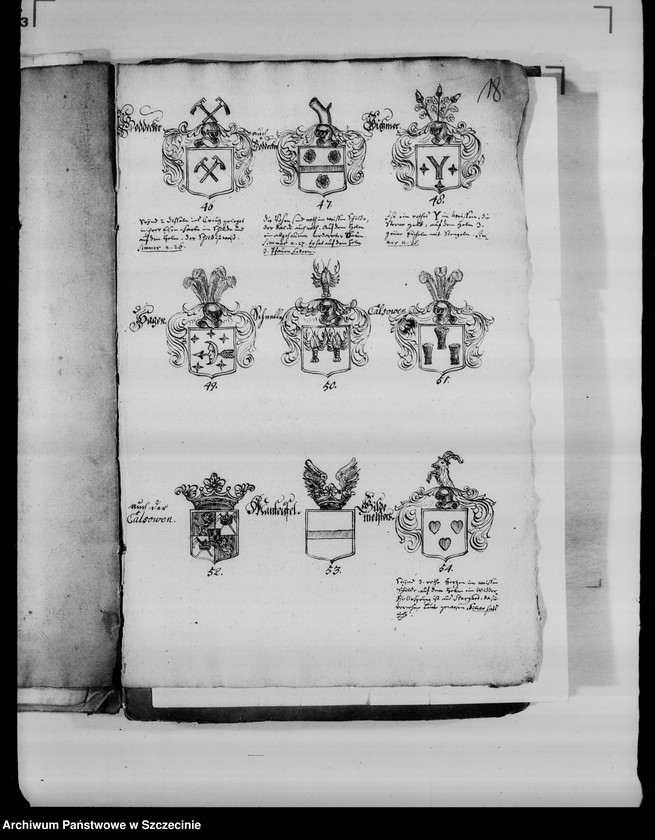 image.from.unit.number "Abbildungen von 178 adelichen grostentheils Pommern-Wappen der pommerschen adlichen Familien"