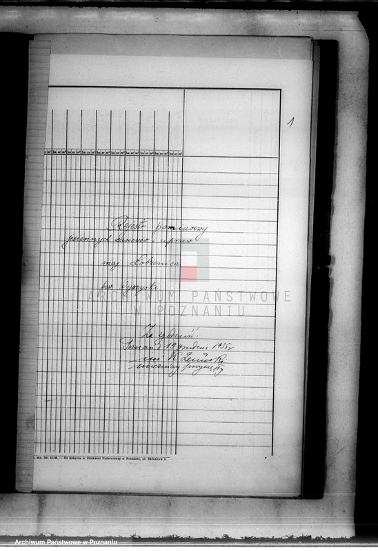 Obraz 5 z jednostki "Rejestr pomiarowy zasiewów i upraw majątku Łobżenice powiatu wyrzyskiego"