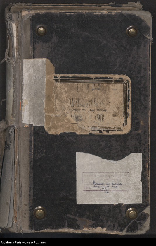 Obraz 2 z jednostki "Indeks urodzin"