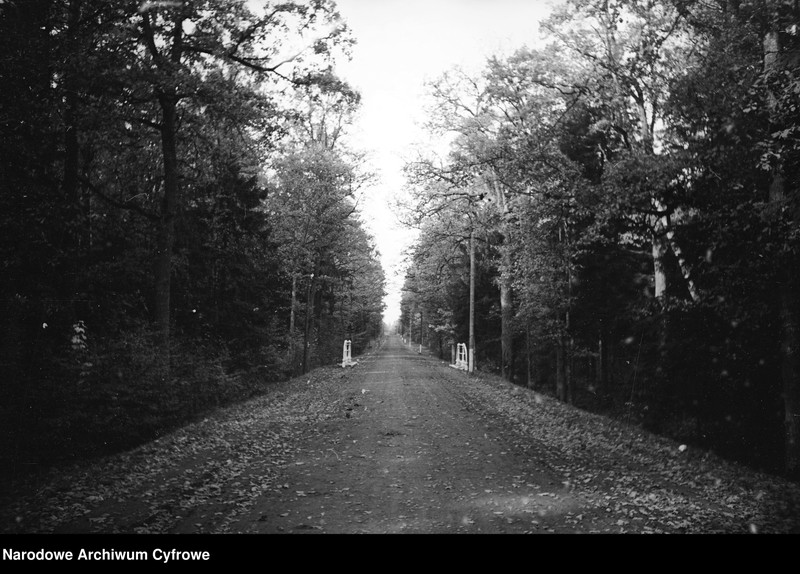 image.from.unit.number "Białowieża"