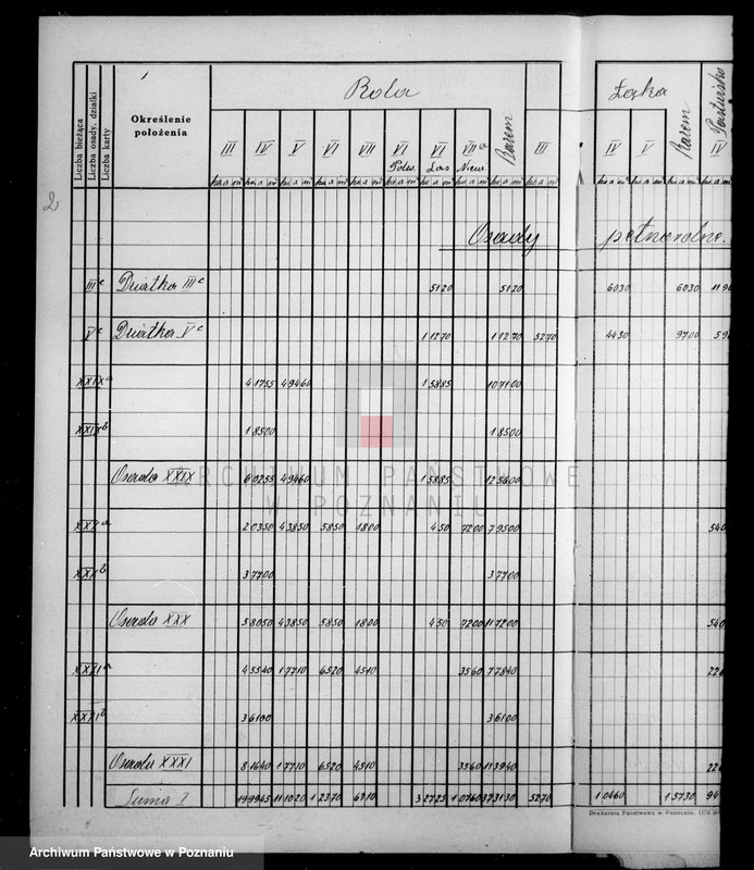 Obraz 6 z jednostki "Tymczasowy rejestr pomiarowy majątku Falmierowo powiatu wyrzyskiego"