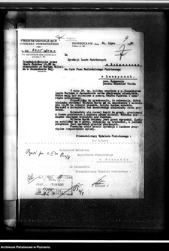 Obraz 13 z jednostki "Zalesienie nieużytków w powiecie inowrocławskim"