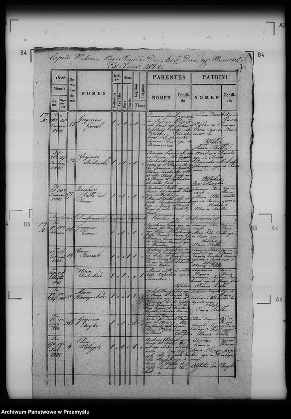 Obraz 11 z jednostki "[Kopie ksiąg metrykalnych parafii Siebieczów z filiami Leszczaków, Piwowszczyzna, Rusin, Wierzbiąż (dekanat Bełz)]"