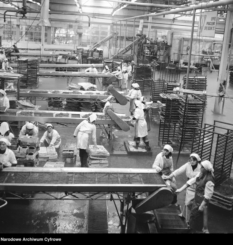 Obraz 7 z jednostki "Zakład produkcyjny Przedsiębiorstwa Handlu Zagranicznego "Hortex" w Płońsku"