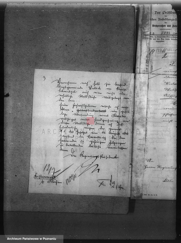 Obraz 7 z jednostki "Las gminy Olszewo powiat ostrowski"