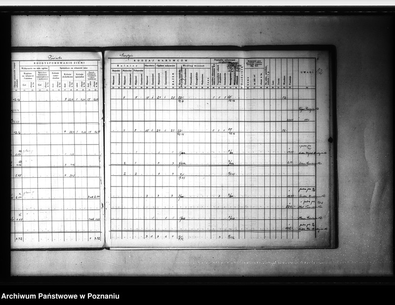 Obraz 17 z jednostki "/Zestawienie /wykaz/ rozdysponowania ziemi na cele parcelacyjne powiatu gostyńskiego"
