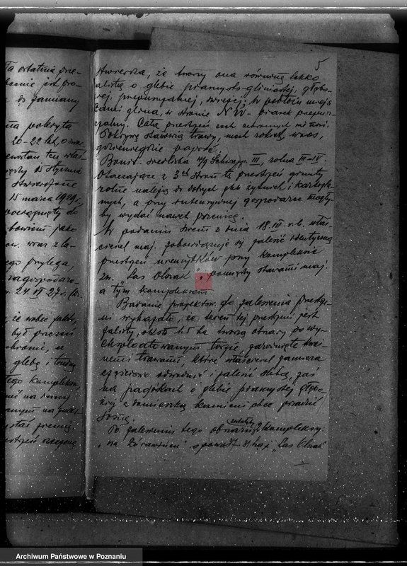 Obraz 9 z jednostki "Sprawa zmiany rodzaju użytkowania 25,47 ha gruntów leśnych w majątku Ozorzyn dla celów parcelacji powiat kolski"