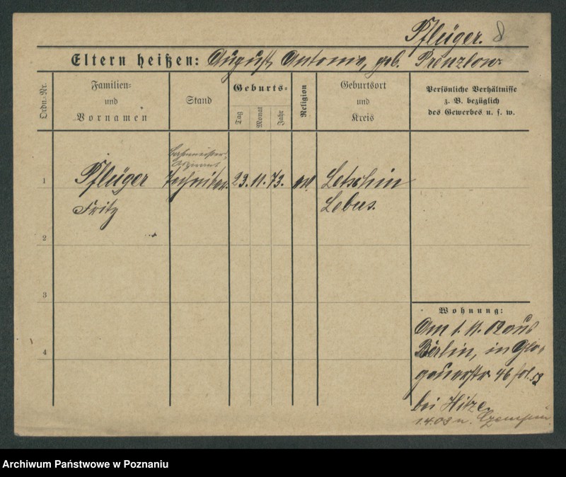 Obraz 10 z jednostki "Pflieger - Piasecki"