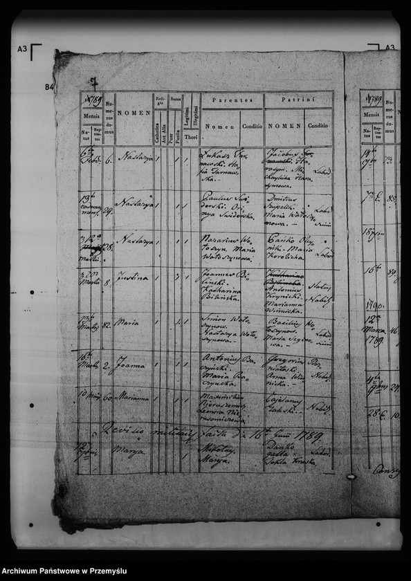 Obraz 13 z jednostki "[Kopie ksiąg metrykalnych parafii Krynica (dekanat Medenice)]"